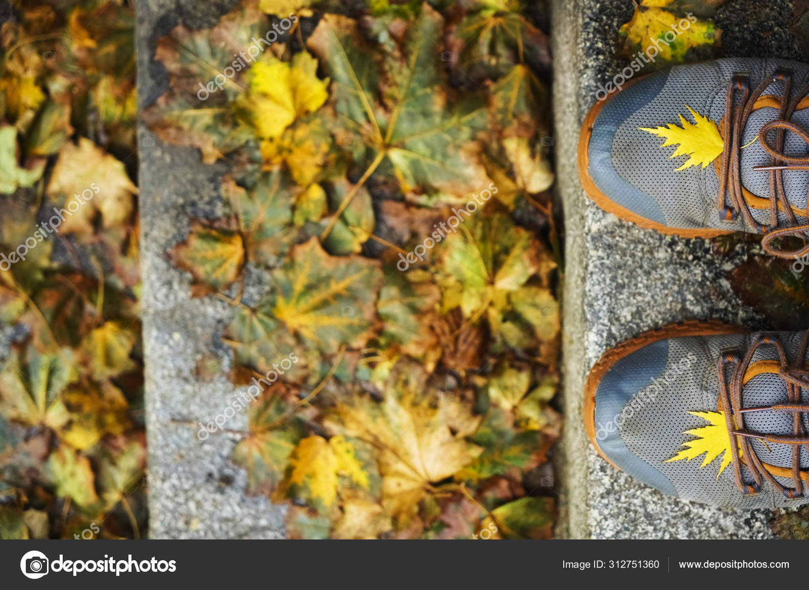 sapatos de outono