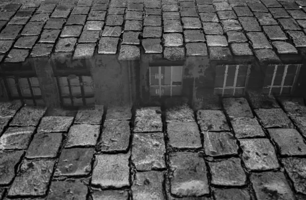 Cobblestones Reflection House Puddle Rain Circles Water Paving Stone Old — Stock Photo, Image