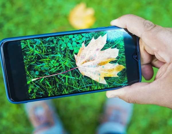 Schnappschuss Vom Herbst Auf Dem Smartphone Turnschuhe Grünen Grashintergrund Draufsicht — Stockfoto