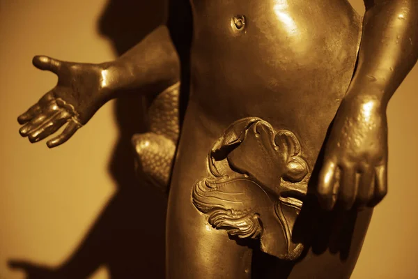 Liścia Figowego Obejmujące Narządów Płciowych Męskich Posągu — Zdjęcie stockowe