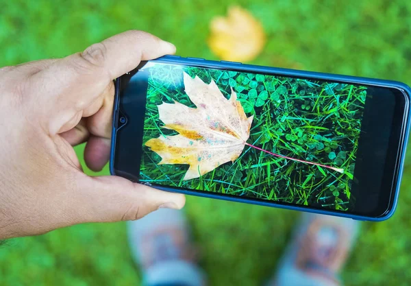 Schnappschuss Vom Herbst Auf Dem Smartphone Turnschuhe Grünen Grashintergrund Draufsicht — Stockfoto