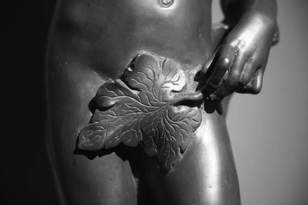 覆盖女性雕像生殖器的无花果树叶子 — 图库照片