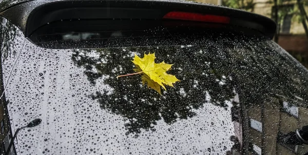 Πεσμένο Κίτρινο Φύλλο Σφενδάμου Στο Πίσω Παράθυρο Ενός Αυτοκινήτου Σύμβολο — Φωτογραφία Αρχείου