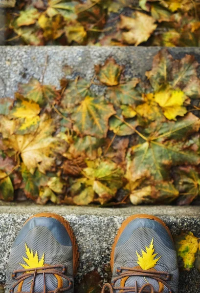 Γκρι Αθλητικά Παπούτσια Πεσμένα Φθινοπωρινά Φύλλα Άνθρωποι Παπούτσια Που Στέκονται — Φωτογραφία Αρχείου