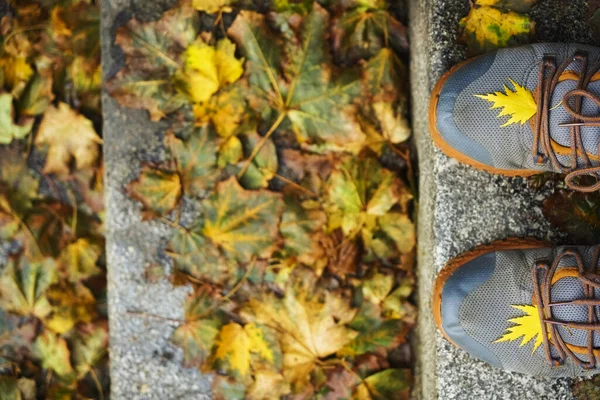 Gray Sneakers Shoes Fallen Autumn Leaves People Shoes Standing Beautiful — Stock Photo, Image