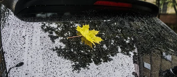 Folha Bordo Amarela Caída Janela Traseira Carro Como Símbolo Outono — Fotografia de Stock