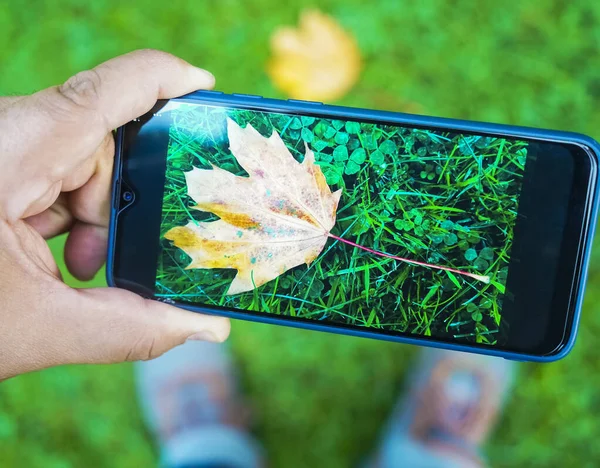 Schnappschuss Vom Herbst Auf Dem Smartphone Turnschuhe Grünen Grashintergrund Draufsicht — Stockfoto