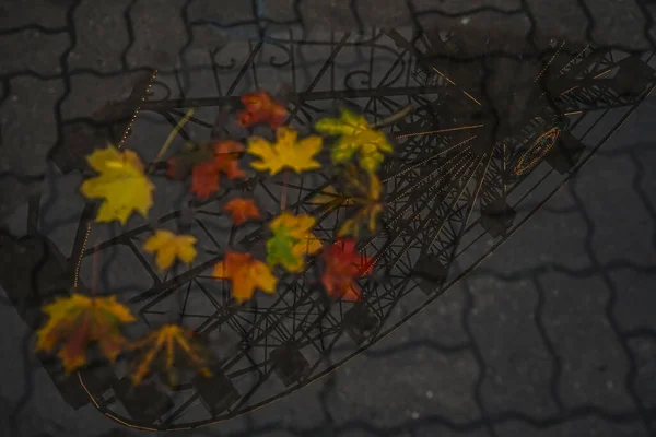 Отражение Колеса Обозрения Луже Кленовые Листья Воде Плавающие Осенние Кленовые — стоковое фото
