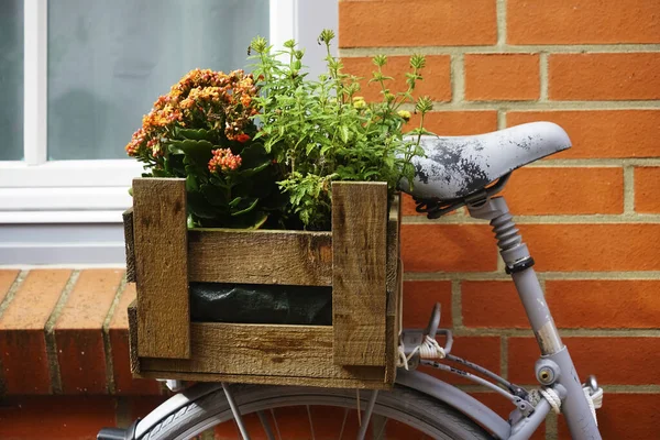 Blommor Trälåda Bagageutrymmet Röd Färgning Cykel Parkerad Röd Tegelvägg Huset — Stockfoto