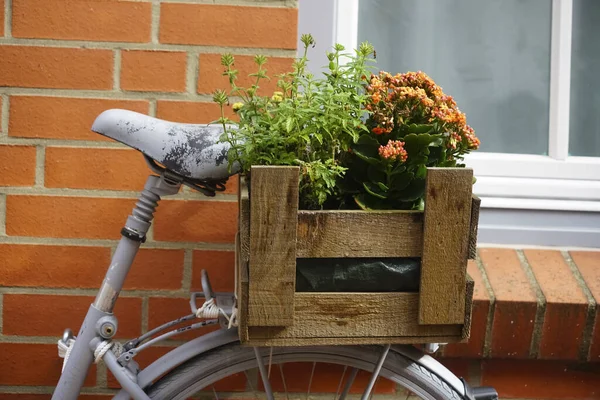 Blommor Trälåda Bagageutrymmet Röd Färgning Cykel Parkerad Röd Tegelvägg Huset — Stockfoto