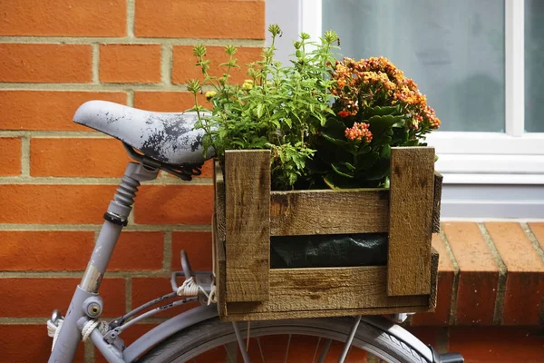 Blommor Trälåda Bagageutrymmet Röd Färgning Cykel Parkerad Röd Tegelvägg Huset — Stockfoto