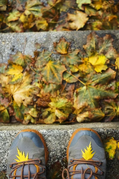 Zapatos Las Zapatillas Grises Hojas Caídas Del Otoño Las Personas —  Fotos de Stock