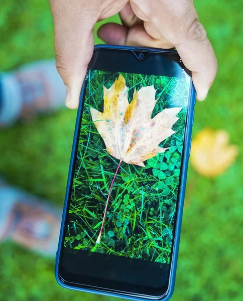 Instantâneo Outono Smartphone Sapatilhas Fundo Grama Verde Vista Superior Homem — Fotografia de Stock