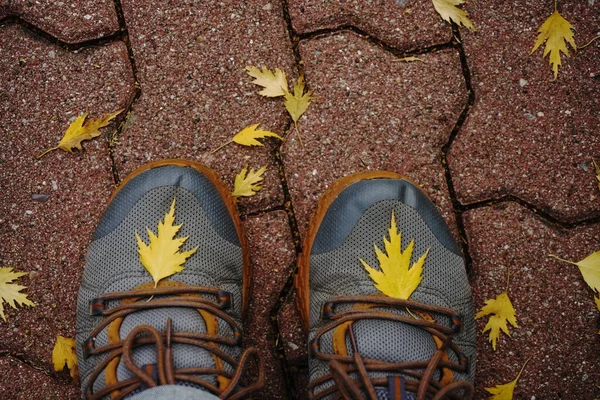 秋天落叶上的灰色橡胶鞋 顶部视图 — 图库照片