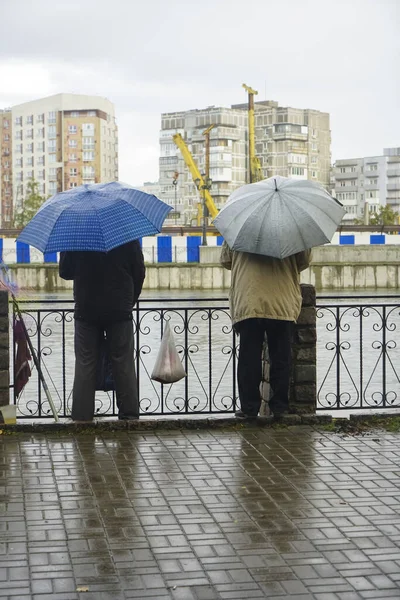 Hommes Pêchent Ensemble Sous Pluie Bord Lac Sous Des Parasols — Photo