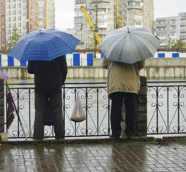 Hommes Pêchent Ensemble Sous Pluie Bord Lac Sous Des Parasols — Photo