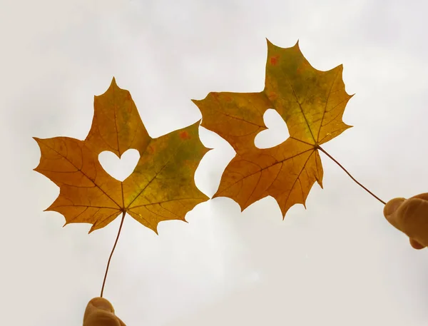 Close Shot Hands Holding Two Yellow Leaves Heart Shapes — Stock Photo, Image
