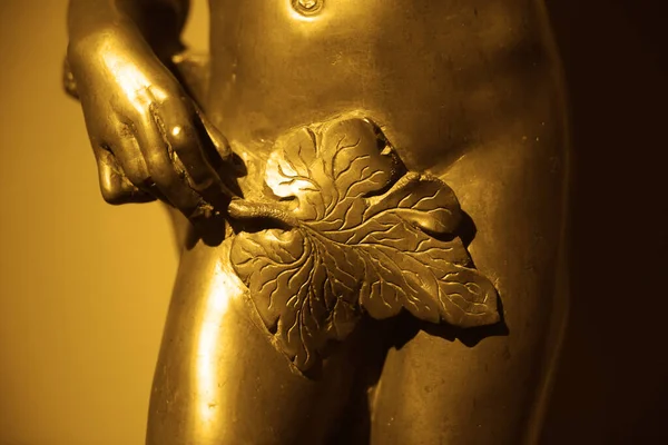 Liść Figowy Zakrywający Genitalia Żeńskiego Posągu Żelazna Eva — Zdjęcie stockowe