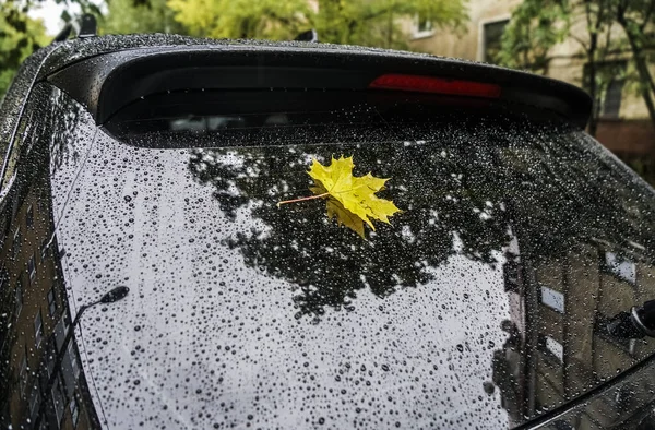 Folha Bordo Amarela Caída Janela Traseira Carro Como Símbolo Outono — Fotografia de Stock