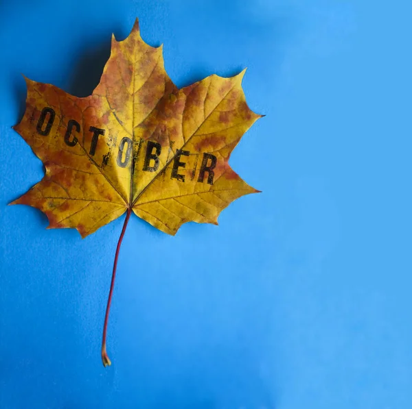 Ett Gult Och Rött Lönnlöv Ligger Blått Papper Bakgrund Ord — Stockfoto