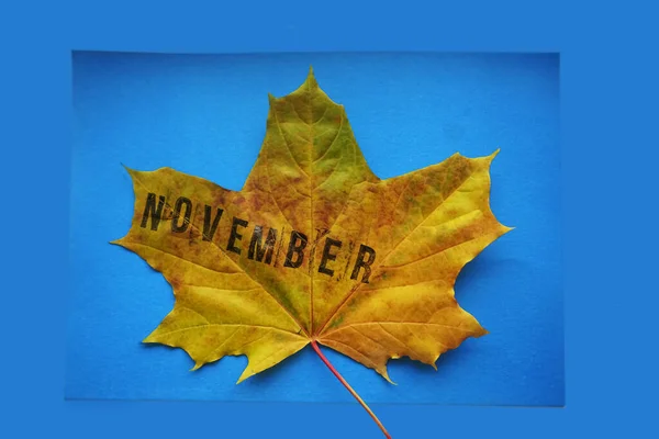 Ein Gelbes Und Rotes Ahornblatt Auf Blauem Papierhintergrund Wort Monat — Stockfoto