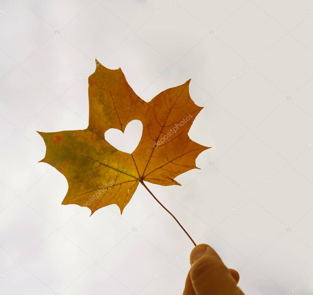 Close up shot of hand holding yellow leaf of heart shape with sun rays shining through it at light blue sky background. I love autumn concept. Copy space for inscription. 
