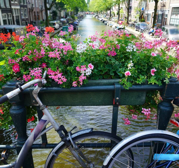 Jízdní Kola Zaparkovaná Mostě Amsterdamu Nizozemsko Kolo Mostě Amsterdamu Holandsko — Stock fotografie