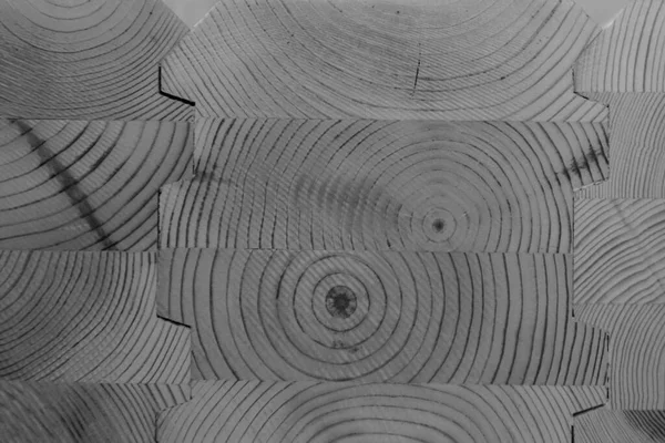 Υφή Κορμού Κοπής Δέντρων Εικόνα Από Κοντινό Πλάνο Ξύλινη Υφή — Φωτογραφία Αρχείου