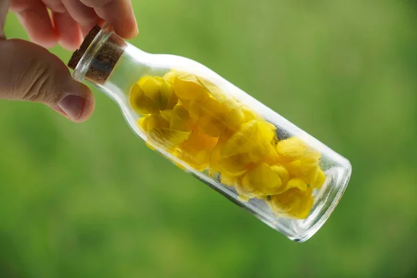 Reagenzglas Mit Gelben Blütenblättern Männerhänden Glasflasche Mit Frischen Gelben Blütenblättern — Stockfoto