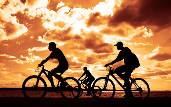 Leerer Raum Sportliche Freunde Auf Fahrrädern Bei Sonnenuntergang Radfahrer Die — Stockfoto