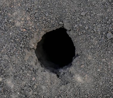 Ormandaki bir toprak parçasının fotoğrafı. Toprakta köstebek var. Üst verimli toprak. Topraksı arka plan. en üstteki görünüm.