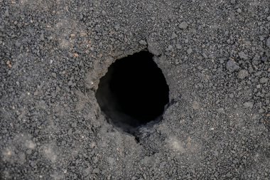 Ormandaki bir toprak parçasının fotoğrafı. Toprakta köstebek var. Üst verimli toprak. Topraksı arka plan. en üstteki görünüm.