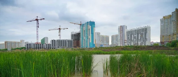 Riet Een Meer Residentiële Hoogbouw Water Van Het Platteland Wilde — Stockfoto