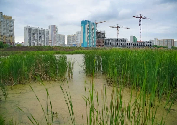 Riet Een Meer Residentiële Hoogbouw Water Van Het Platteland Wilde — Stockfoto