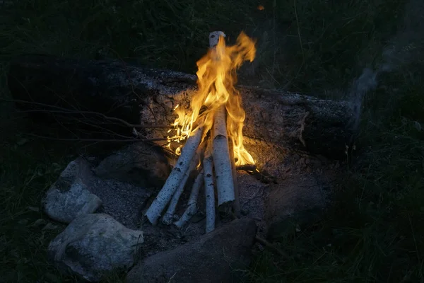 Μια Φωτιά Ένα Δάσος Βράδυ Στην Κατασκήνωση Σπέρματα Φλεγόμενων Καυσόξυλων — Φωτογραφία Αρχείου