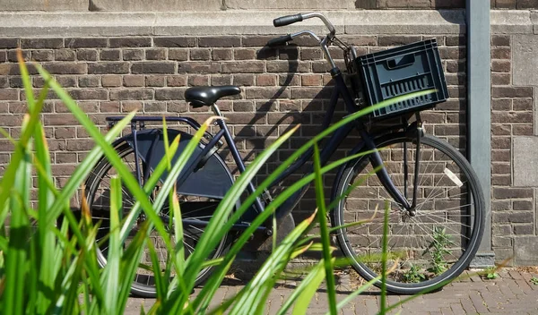 红色砖墙背景的黑色经典自行车 欧洲房子附近的绿色植物 荷兰哈格 — 图库照片