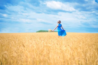 Romantik, ince bir kadın buğday tarlasında koşuyor açık mavi, zarif bir elbise giyiyor. 