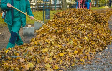 INNSBRUCK, AUSTRIA - 03.2019 ARALIK: Sonbahar zamanı arka bahçede yaprakları tırmıklayan yeşil üniformalı profesyonel adamlar. 