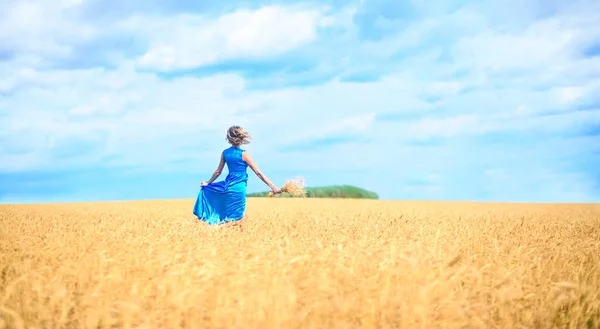 Romantické Štíhlé Žena Běží Přes Pšeničné Pole Sobě Jasně Modré — Stock fotografie