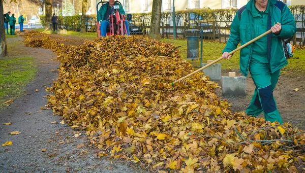 Innsbruck Austria December 2019 시간에 뒷마당에 제복을 낙엽을 전문가 — 스톡 사진