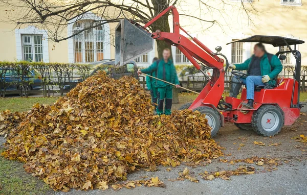 Innsbruck Áustria Dezembro 2019 Homens Profissionais Uniforme Verde Com Folhas — Fotografia de Stock