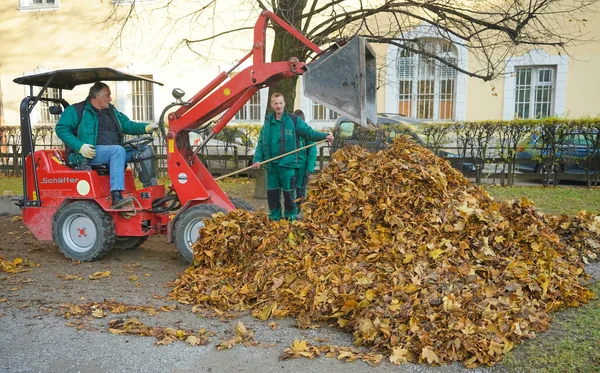 Innsbruck Áustria Dezembro 2019 Homens Profissionais Uniforme Verde Com Folhas — Fotografia de Stock
