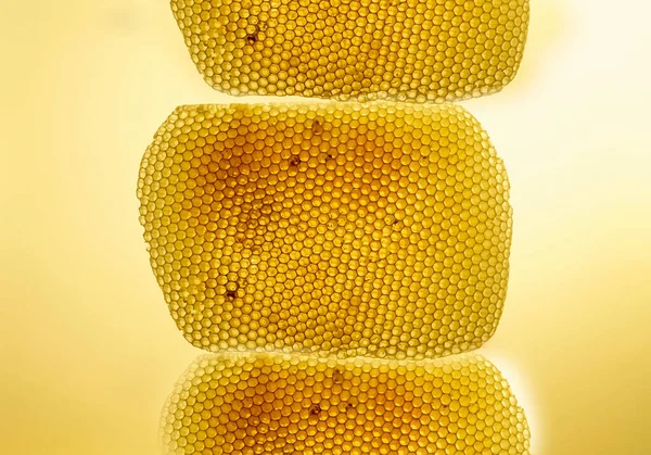 ワックスハニカムの断面の背景の質感とパターン — ストック写真