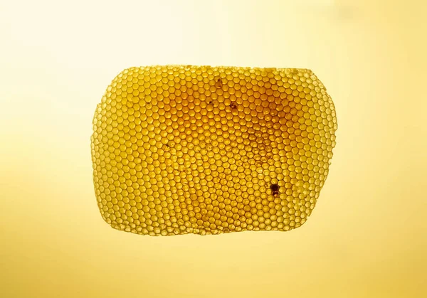 Háttérszerkezet Viasz Méhsejtszerkezetének Mintázata — Stock Fotó