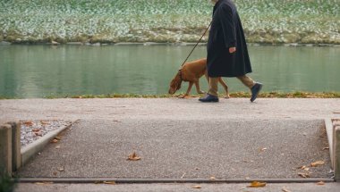 Büyük kahverengi köpek ve asfalt yolda yürüyen yaşlı bir adam. Nehir boyunca yürüyüş. Kış mevsimi.