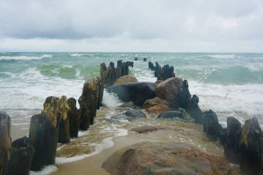 Su sıçratmadan önce ahşap dalganın bir parçası Güzel Baltık Denizi