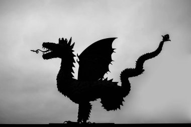 Gökyüzü arka planında ejderha silueti. Kazan, Rusya.