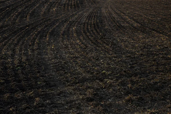 Landbouw Zwart Veld Zonsondergang Licht Geploegd Veld Herfstseizoen — Stockfoto