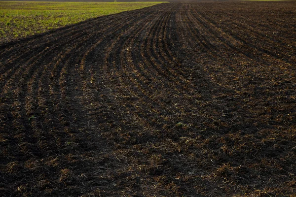 Rolnictwo Czarny Pole Zachód Słońca Światło Zaorane Pole Sezon Jesienny — Zdjęcie stockowe
