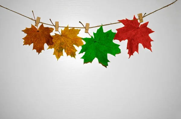 Prádelní Šňůře Visely Oranžové Zelené Červené Žluté Podzimní Listy Kolíky — Stock fotografie